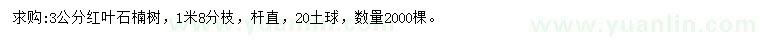 求購3公分紅葉石楠