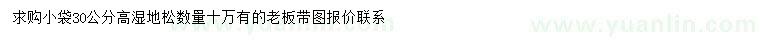 求購30公分高濕地松