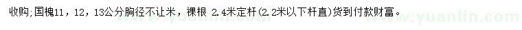 求購胸徑11、12、13公分國槐