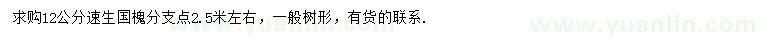 求購12公分速生國槐