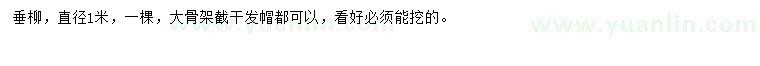 求購直徑1米垂柳