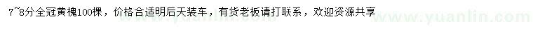 求購(gòu)全冠黃槐
