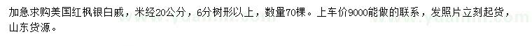 求購米徑20公分美國紅楓、銀白槭