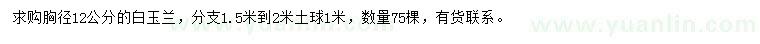 求購(gòu)12公分白玉蘭