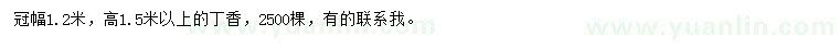 求購高1.5米以上丁香