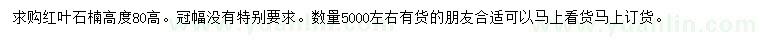 求購高度80公分紅葉石楠