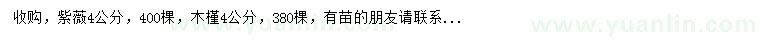 求購(gòu)4公分紫薇、木槿