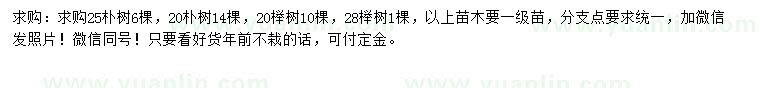 求購20、25、28公分樸樹