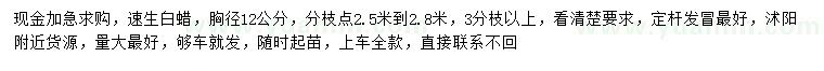 求購胸徑12公分速生白蠟