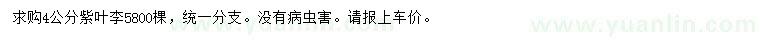 求購(gòu)4公分紫葉李
