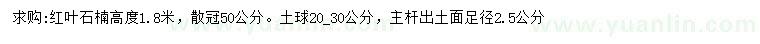 求購(gòu)高1.8米紅葉石楠