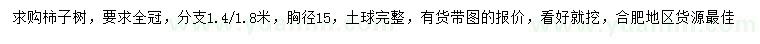 求購胸徑15公分柿子樹