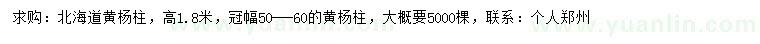 求購北海道黃楊柱