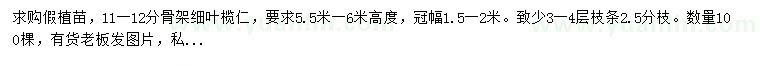 求購(gòu)11-12公分骨架細(xì)葉欖仁