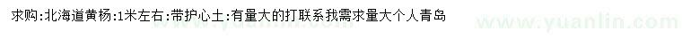 求購(gòu)北海道黃楊