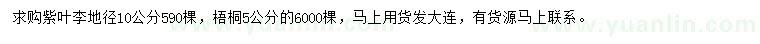 求購地徑10公分紫葉李