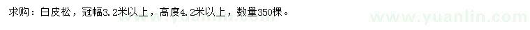 求購冠幅3.2米以上白皮松