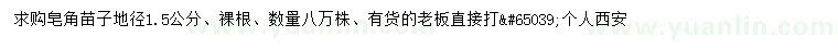 求購(gòu)地徑1.5公分皂角苗