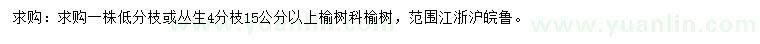 求購15公分以上榆樹