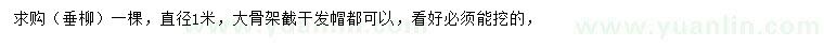 求購(gòu)垂柳