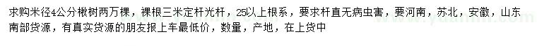 求購米徑4公分楸樹