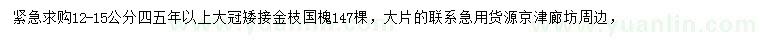 求購12-15公分金枝國槐