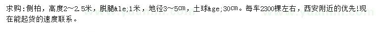 求購(gòu)高2-2.5米側(cè)柏