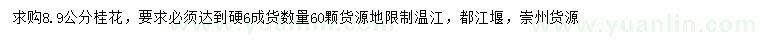 求購8、9公分桂花