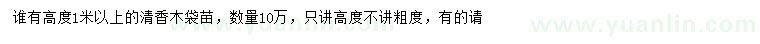 求購高1米以上清香木