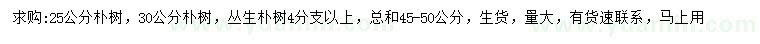 求購25、30公分樸樹、叢生樸樹