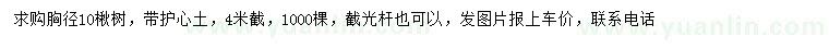 求購(gòu)胸徑10公分楸樹(shù)