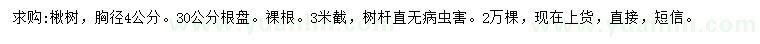 求購胸徑4公分楸樹