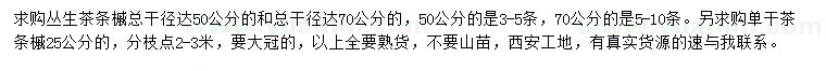 求購(gòu)茶條槭