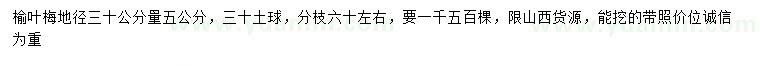 求購地徑30量5公分榆葉梅