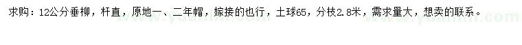 求購(gòu)12公分垂柳