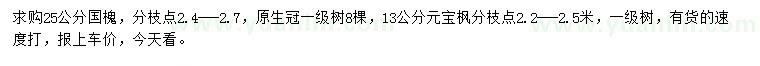 求購25公分國槐、13公分元寶楓