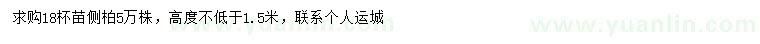 求購1.5米以上側(cè)柏