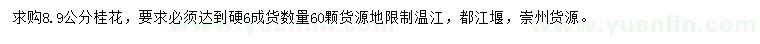 求購8、9公分桂花