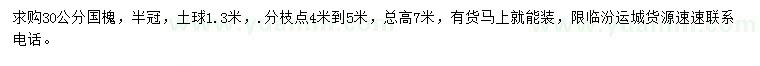 求購30公分國槐