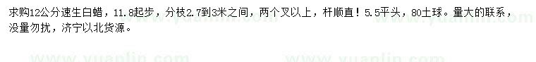 求購(gòu)12公分白蠟