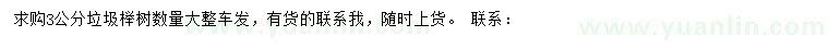 求購3公分櫸樹