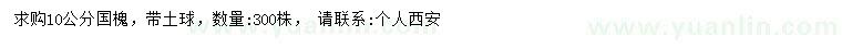 求購10公分國槐