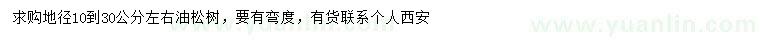 求購(gòu)10-30公分油松