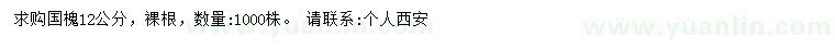 求購12公分國槐