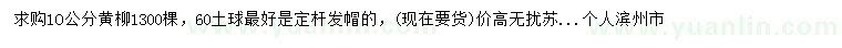 求購(gòu)1O公分黃柳