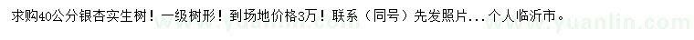 求購40公分銀杏