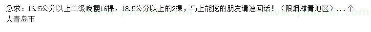 求購16.5公分以上晚櫻