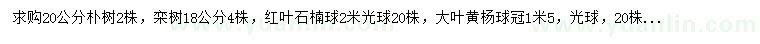 求購樸樹、欒樹、紅葉石楠等