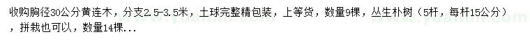 求購胸徑30公分黃連木