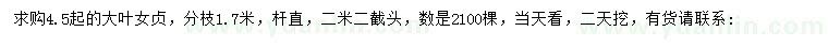 求購(gòu)4.5公分以上大葉女貞